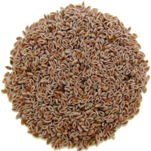 بذور القطونة (100 جرام)