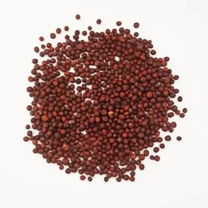 بذور اللفت (100 جرام)
