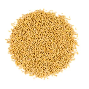 بذور الخردل الابيض العضوي (100 جرام)